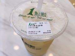 养乐多绿-1点点(石家庄长安万达店)