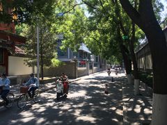 -古陶文明博物馆