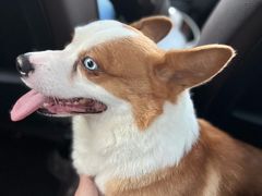 -宠物家(大兴旧宫店)