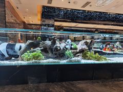 -红辣椒·川菜·火锅(科华路店)