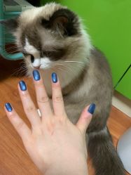 -斯馨·健康美甲美睫