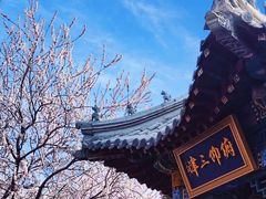-桃花堤公园