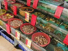 -鑫鸿达·海鲜闽菜热炒小馆(中山路店)