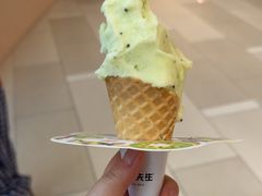 -野人先生现做冰淇淋(北京环宇荟店)
