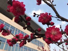 -南京中医药大学(仙林校区)