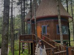 -洛阳白云山景区