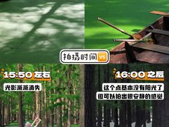 -渌洋湖湿地公园