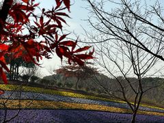 -东方绿舟景区