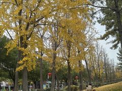 -美兰湖景区