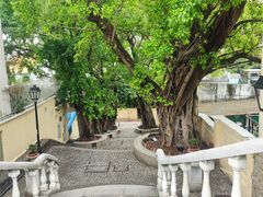 -龙环葡韵住宅式博物馆