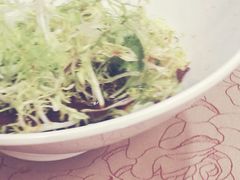 苦菊沙拉-宁邦·家宴·南京菜(红山动物园店)