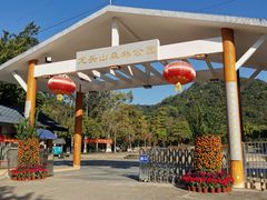 -龙头山森林公园·停车场