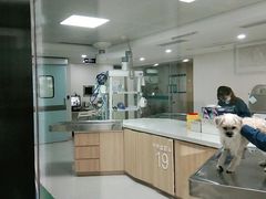 -谐和贝康宠物医院24小时·宠保定点(急重症转诊中心)