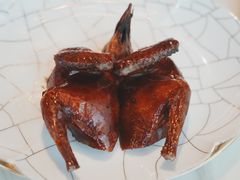 脆皮妙龄鸽-新荣记(新源南路店)
