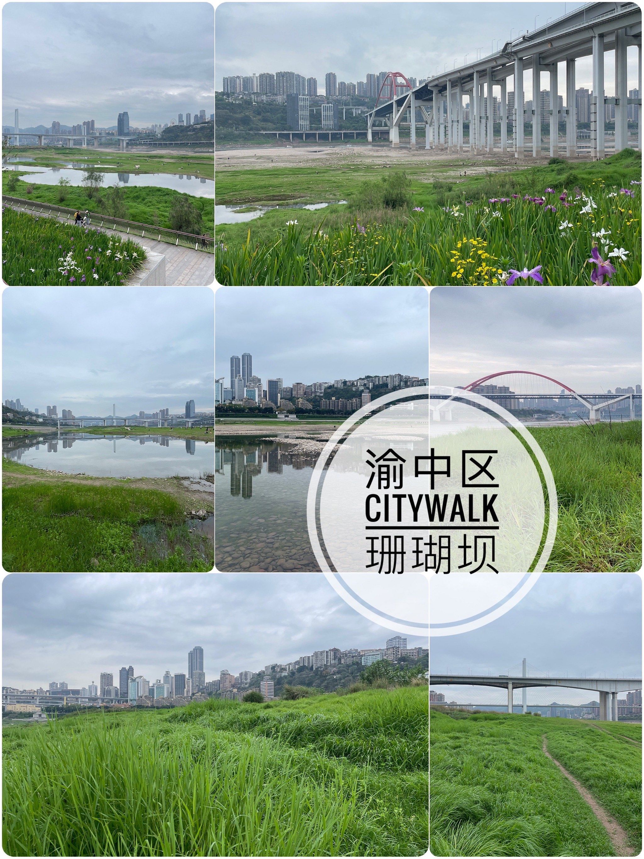 如果渝中区只有一片草原,那大抵是珊瑚坝