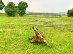 -漕湖湿地公园