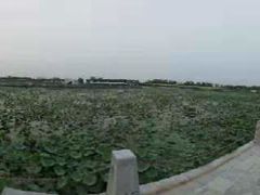 -天津东丽湖风景区