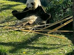 -鄂尔多斯野生动物园