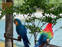 -水上乐园·欢乐世界