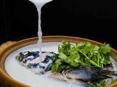 -千岛湖品鱼馆(钓鱼岛店)