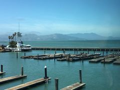 -Swiss Louis Italian & Seafood Restaurant