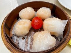 -益健美食大广场(北岭店)