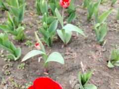 -长春公园(普阳街道)