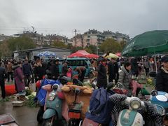 -大东门农贸市场