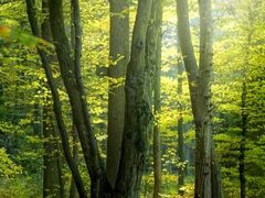 -华夏影城(启东店)