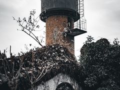 -杭州半山国家森林公园