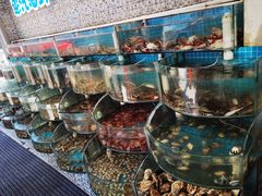 -仙螺岛海鲜自助餐厅(总店)