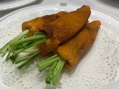 -丁老爷子苏香圆