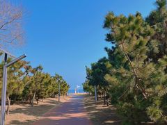 -太阳岛旅游度假区