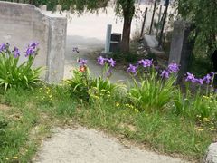 -樱桃沟景区