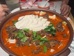 -杨氏青龙虾·羊蝎子(托乐嘉店)