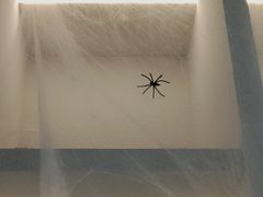 -KUDDO COFFEE(云城万科里店)