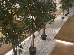 -当当书店(国泰广场店)
