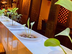 -望京一号·重庆江湖菜(工体店)