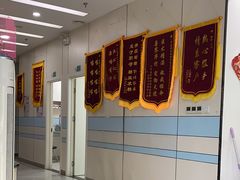 -中农国际动物医院24小时·猫科·骨科·急重症中心
