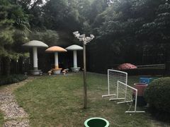 -临沂八村幼儿园