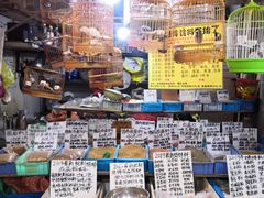-万商花鸟市场