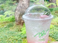 野莓气泡水-Chom Cafe and Restaurant