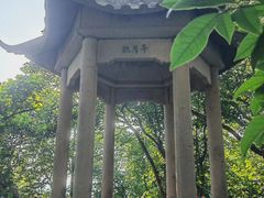 -紫金山山顶公园