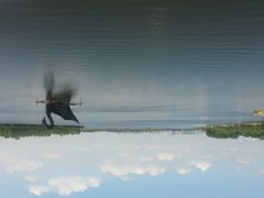 android_upload_pic-沈阳鸟岛