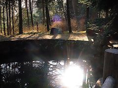 -天目山大树王景区