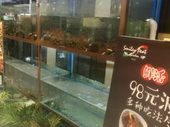 -斯比特花园西餐厅(东方商厦店)