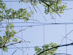 -南通洲际绿博园