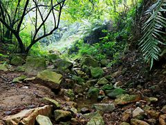 -大雁山风景区