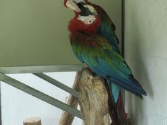 -青藏高原野生动物园