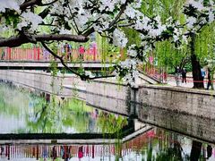 -海棠花溪(元大都城垣遗址公园)